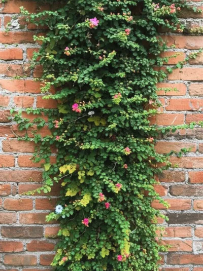 Illustration ramping - Image 1