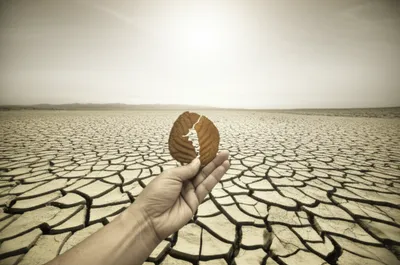 Illustration chip - Image 1