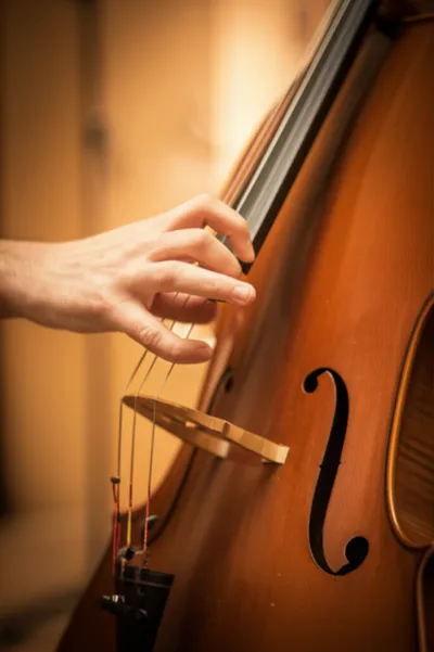 Illustration stops - Image 1