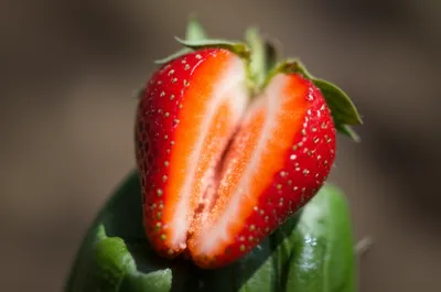 Illustration juicy - Image 1