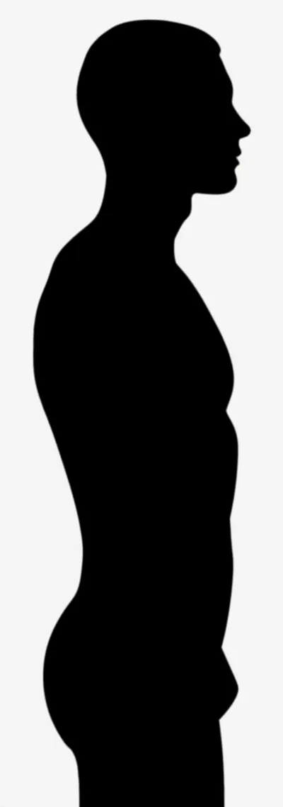 Illustration humpback