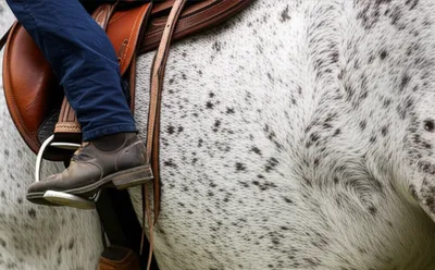 Illustration saddle - Image 1