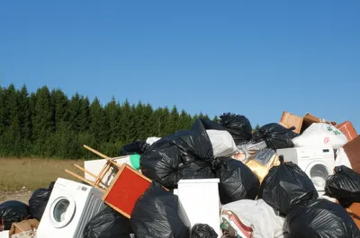 Illustration tipping - Image 1