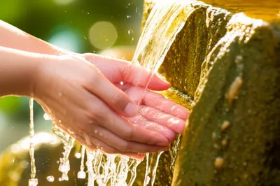 Illustration purifications - Image 1