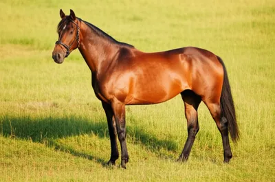 Illustration bays - Image 1