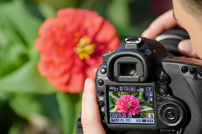 Illustration viewfinder