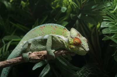 Illustration shifts - Image 1