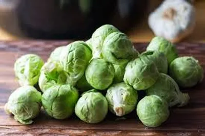 Illustration sprout - Image 2