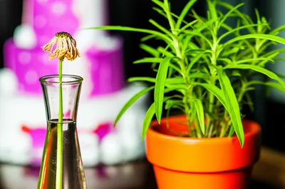 Illustration disappointing - Image 1