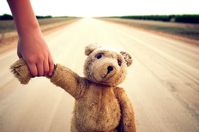 Illustration trailed - Image 1