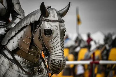 Illustration muzzles - Image 1