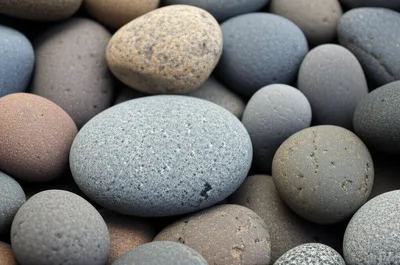 Illustration cob - Image 1