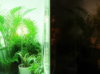 Illustration separations - Image 1