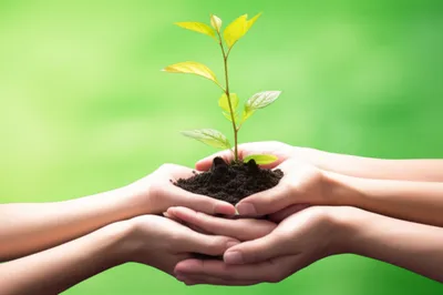 Illustration bearing - Image 1