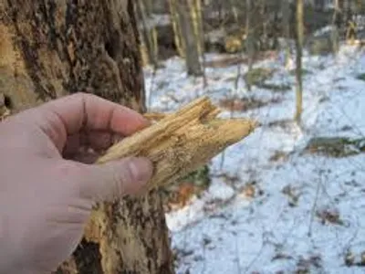 Illustration punk - Image 2