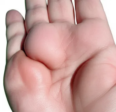 Illustration montes - Image 1