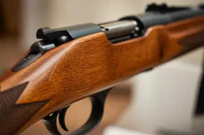 Illustration timber - Image 1