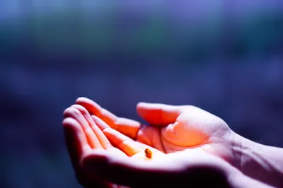 Illustration possessed