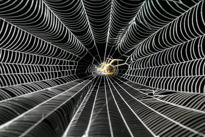 Illustration web - Image 1