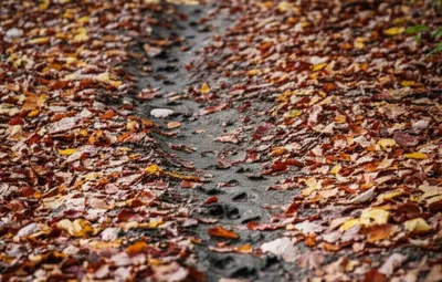 Illustration str - Image 1