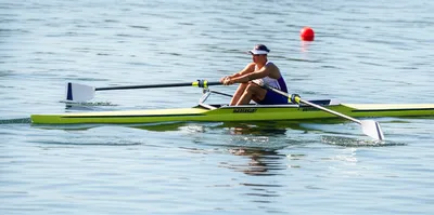 Illustration feather - Image 1