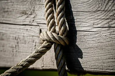 Illustration seize - Image 1