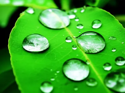 Illustration wetting - Image 1