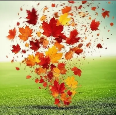 Illustration whirls - Image 1