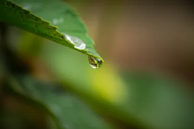 Illustration gage - Image 1