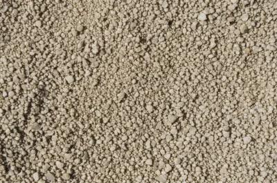 Illustration sharp - Image 1