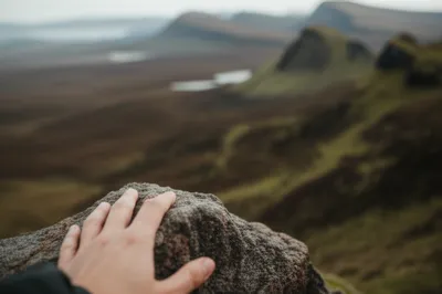 Illustration broad - Image 1