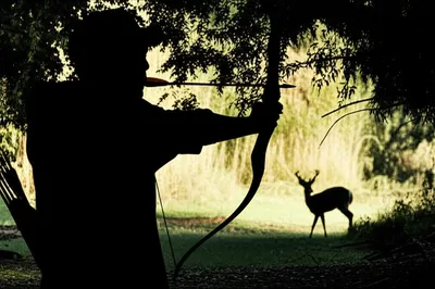 Illustration hunt - Image 1