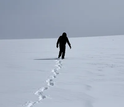 Illustration trudged - Image 1