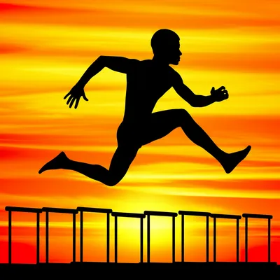 Illustration tigre - Image 1