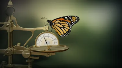 Hình ảnh minh họa sensitive - Ảnh 1