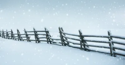 Illustration flakes - Image 1