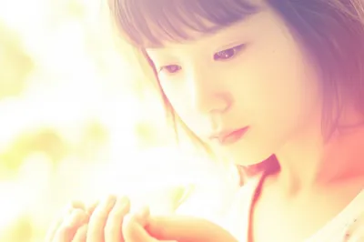 Illustration dove - Image 1