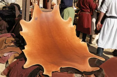 Illustration back - Image 1