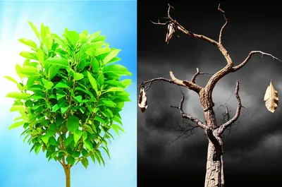 Illustration impair - Image 1