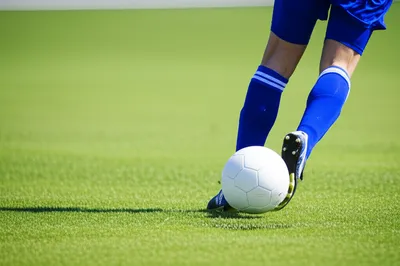 Illustration placed - Image 1