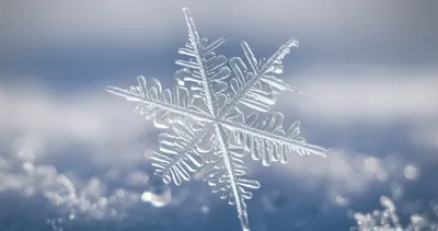 Illustration ice - Image 1