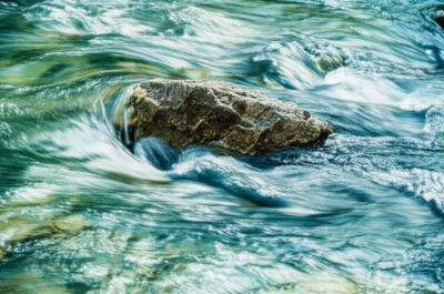 Illustration interposition - Image 1