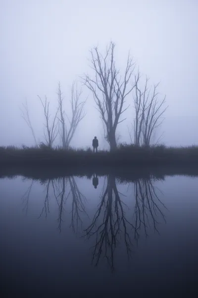 Illustration stiller - Image 2