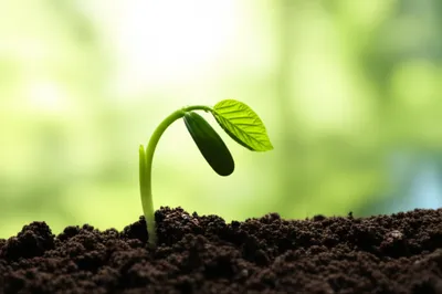 Illustration abort - Image 1