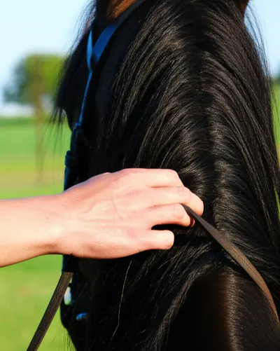 Illustration governing - Image 2