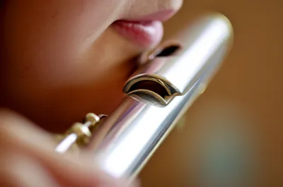 Illustration whistles - Image 1