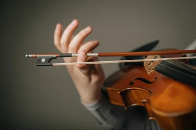 Illustration bows - Image 1