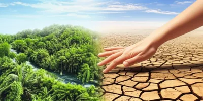 Illustration bordered - Image 1