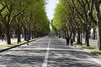 Illustration ave - Image 1