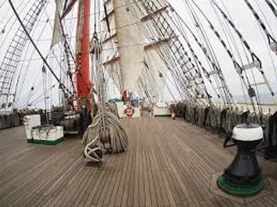 Illustration deck - Image 2